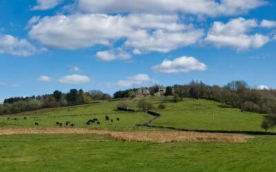 Tips For Walking In The Hills Around Littleborough