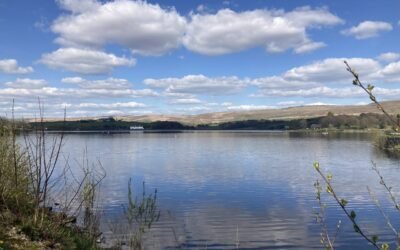 Capturing Nature: Wildlife Photography Around Hollingworth Lake and the South Pennine Hills