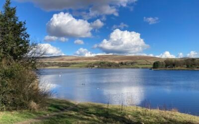 Hollingworth Lake Magic